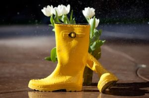 April showers bring May flowers