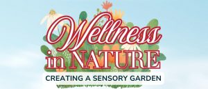 Wellness in Nature - CHFC event image 1000x430 px