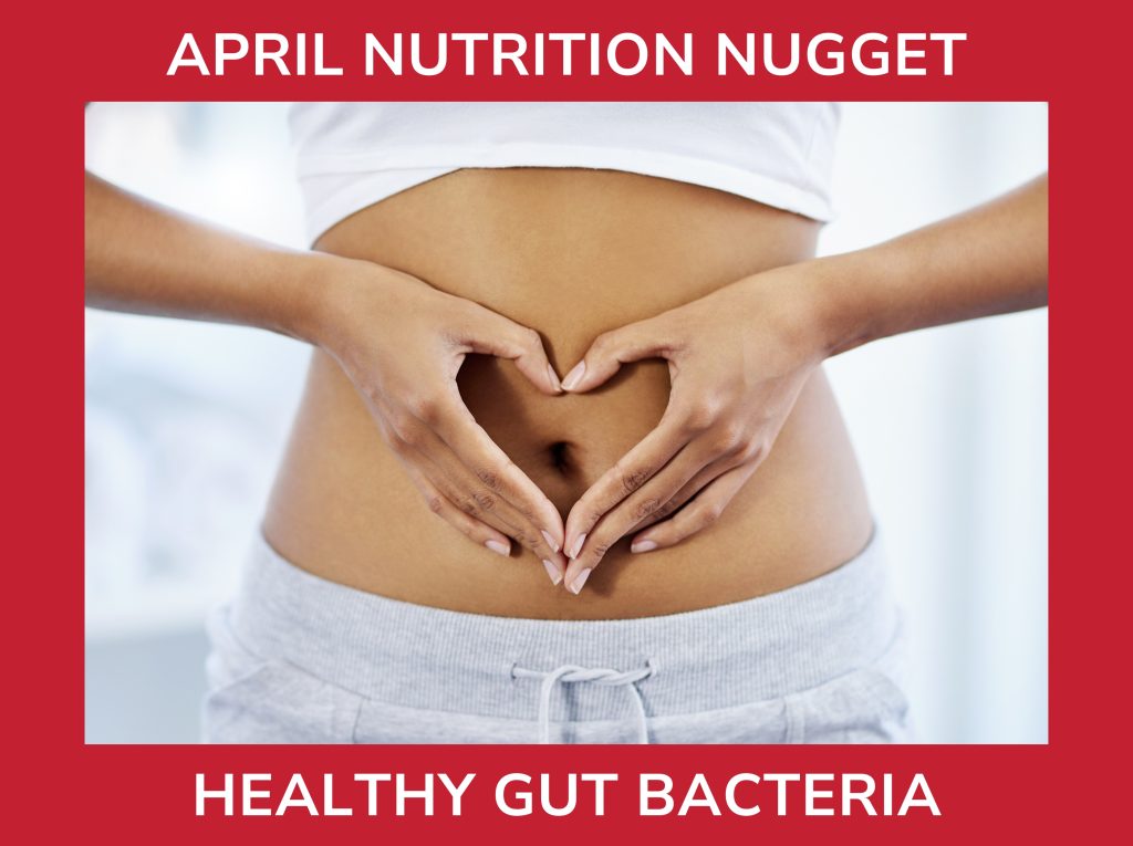 HEALTHY GUT BACTERIA