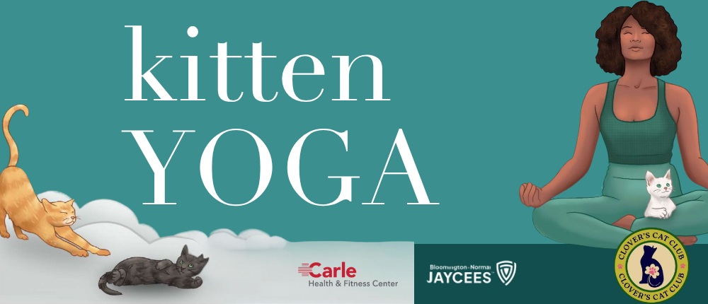 Kitten Yoga