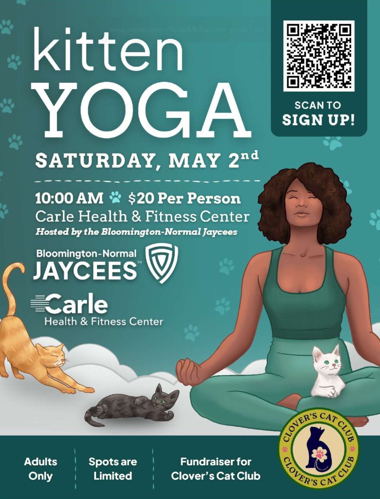 Kitten Yoga